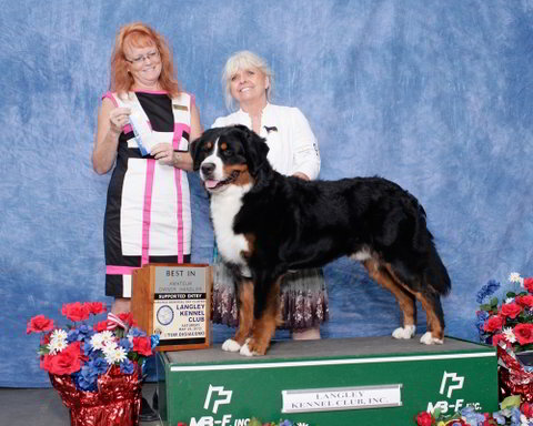 Langley Kennel Club Dog Show 2012