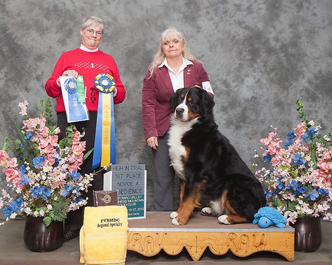 Potomac Valley Bernese Mountain Dog Specialty Show 2013 - High in Trial