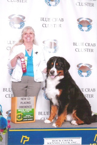 2013 Rock Creek Kennel Club Dog Show - Second Place: Novice A Obedience (CD Title)