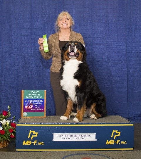 2014 Greater Fredericksburg Kennel Club All-Breed Dog Show