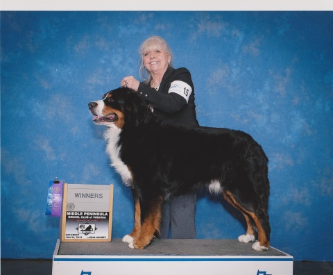 2015 Middle Peninsula Kennel Club Dog Show Winners Dog