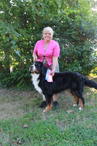 2015 Chesapeake Dog Fanciers Dog Show: First Place: Open Dog