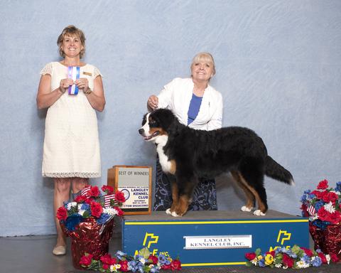 2015 Langley Kennel Club Dog Show:  Best of Winners Title