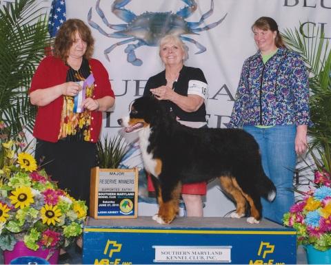 2015 Southern Maryland Club Dog Show:  Reserve Winners Title
