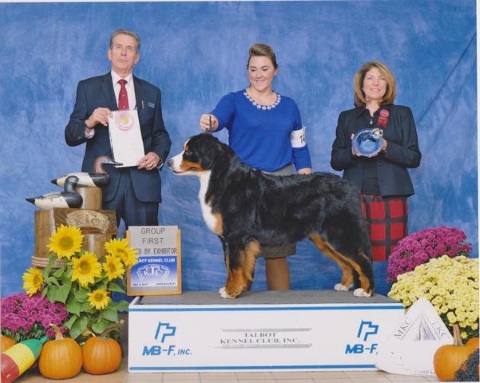 2015 Talbot Kennel Club Dog Show:  First Place: Bred By Exhibitor Class