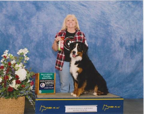 2016 Charlottesville-Albermarle Kennel Club Rally Novice Placing Qualifying Award for Destiny
